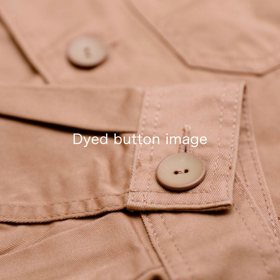 ラクトL-1010